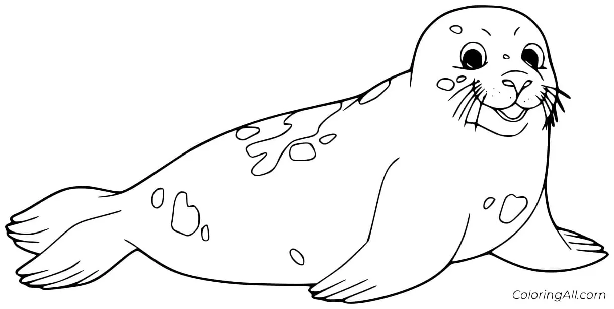 Happy spotted seal coloring pages coloring cool