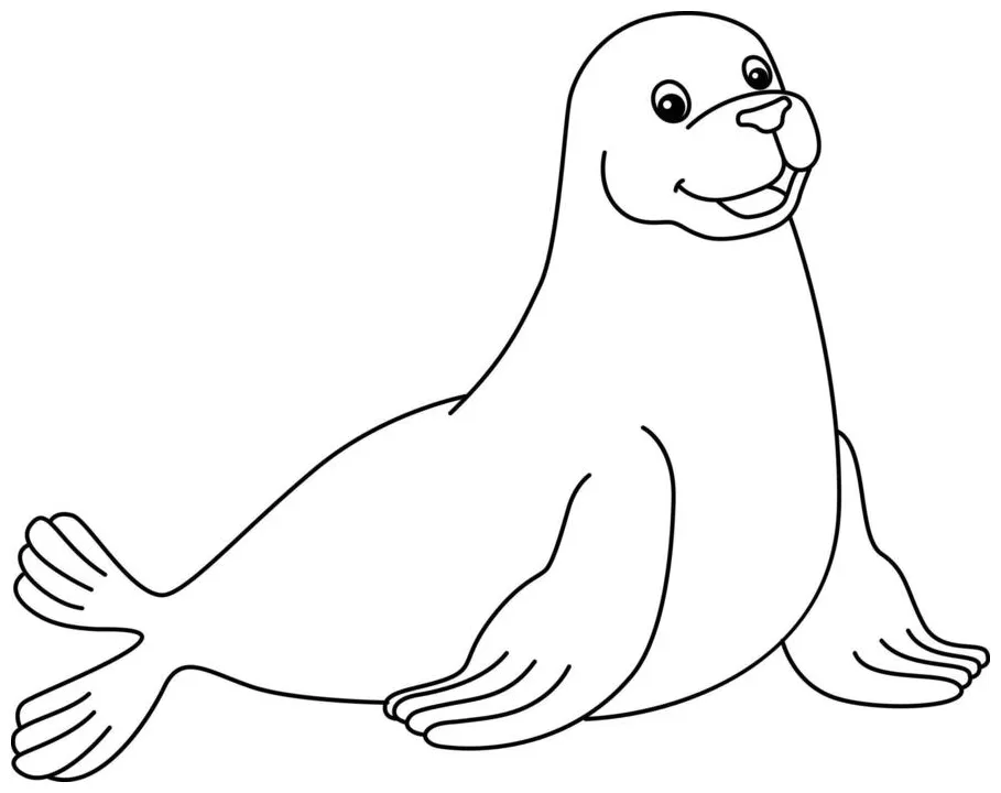 Seal coloring page vector art, icons, and graphics for printable coloring page