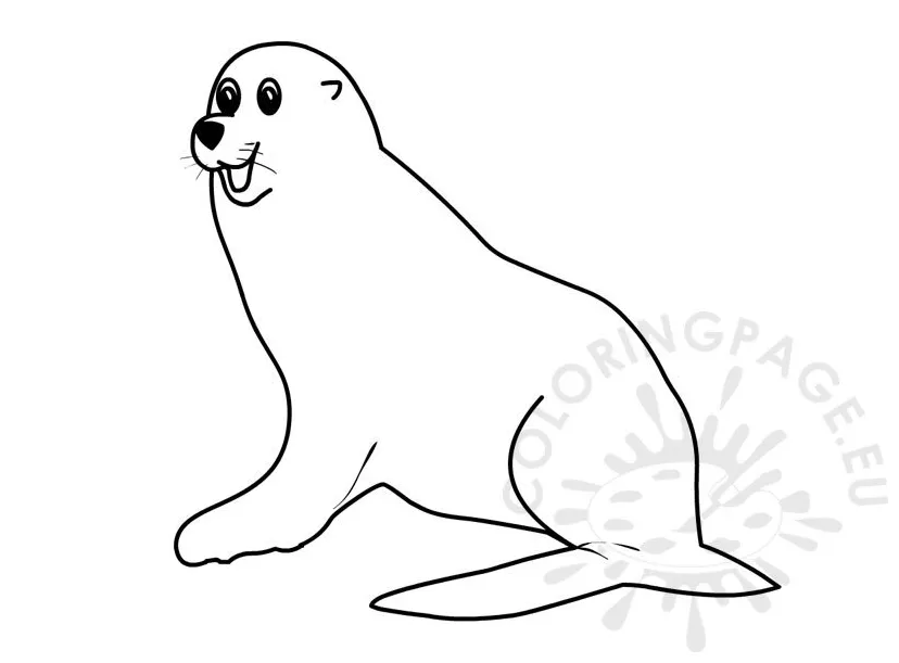 Seal coloring page