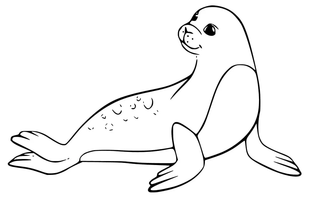 Seal smiling coloring page free printable coloring pages for kids