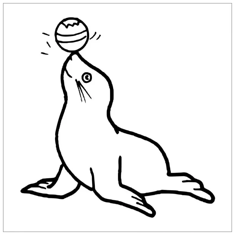 Seal coloring pages coloringbay