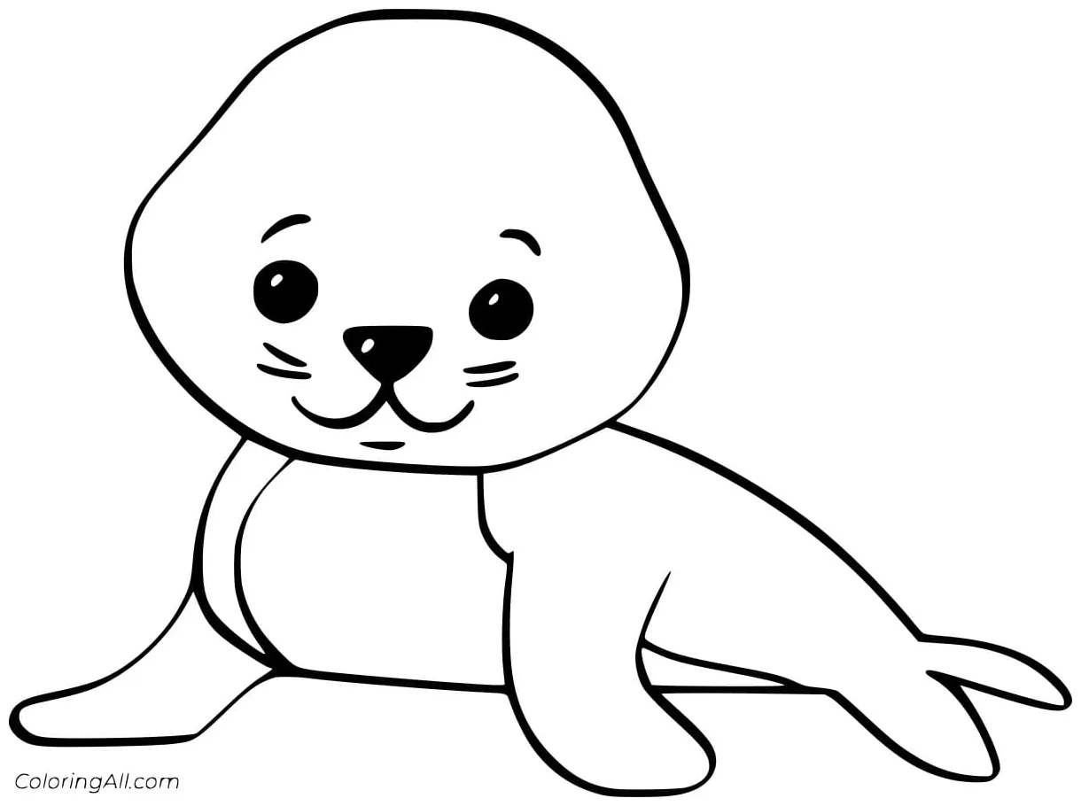 Harbor seal coloring pages coloring cool