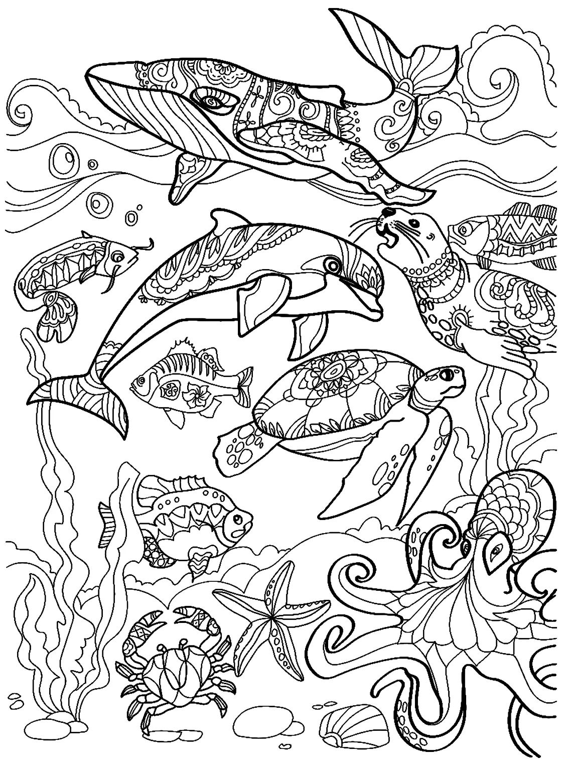 20+ Seal Coloring Pages - Free Printable PDF & Online Coloring