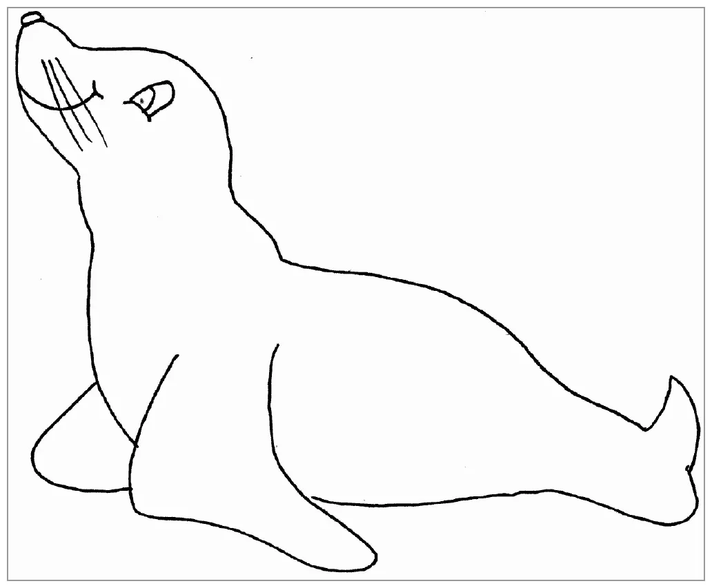 Seal Coloring Pages - ColoringBay
