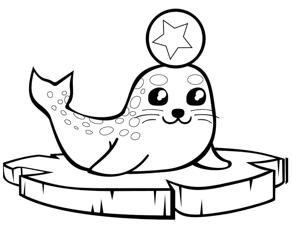 Galapagos fur seal coloring page free printable coloring pages for kids