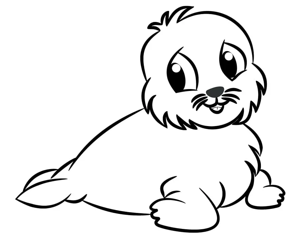Seal coloring page