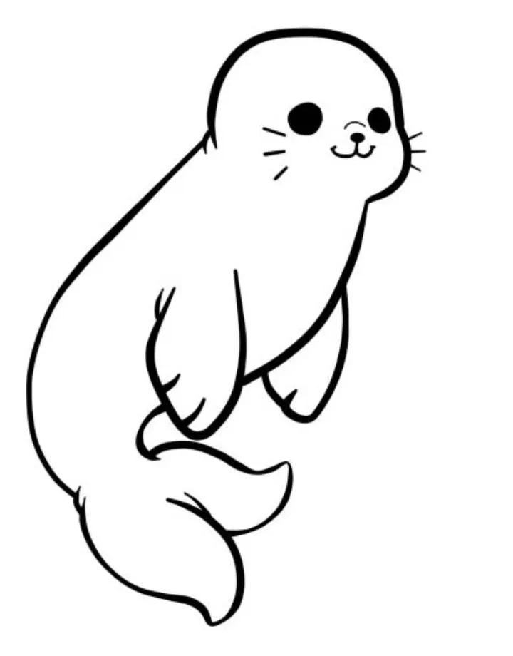 Seal Coloring Pages (Free Printable PDF)