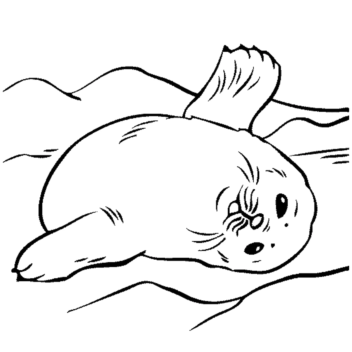 Seal Coloring Pages