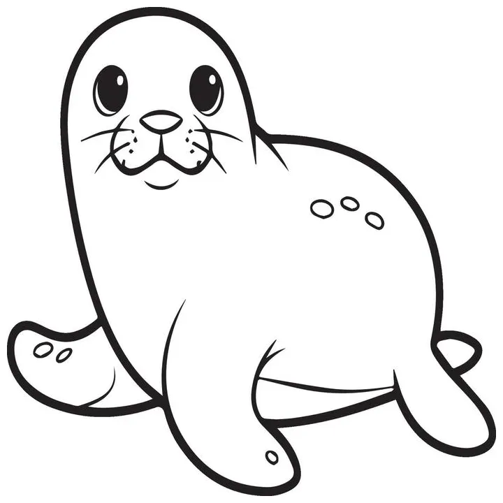 Seal coloring page vector art, icons, and graphics for