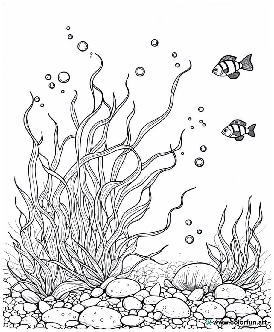 Coloring page of a colorful seaweed download or print for free