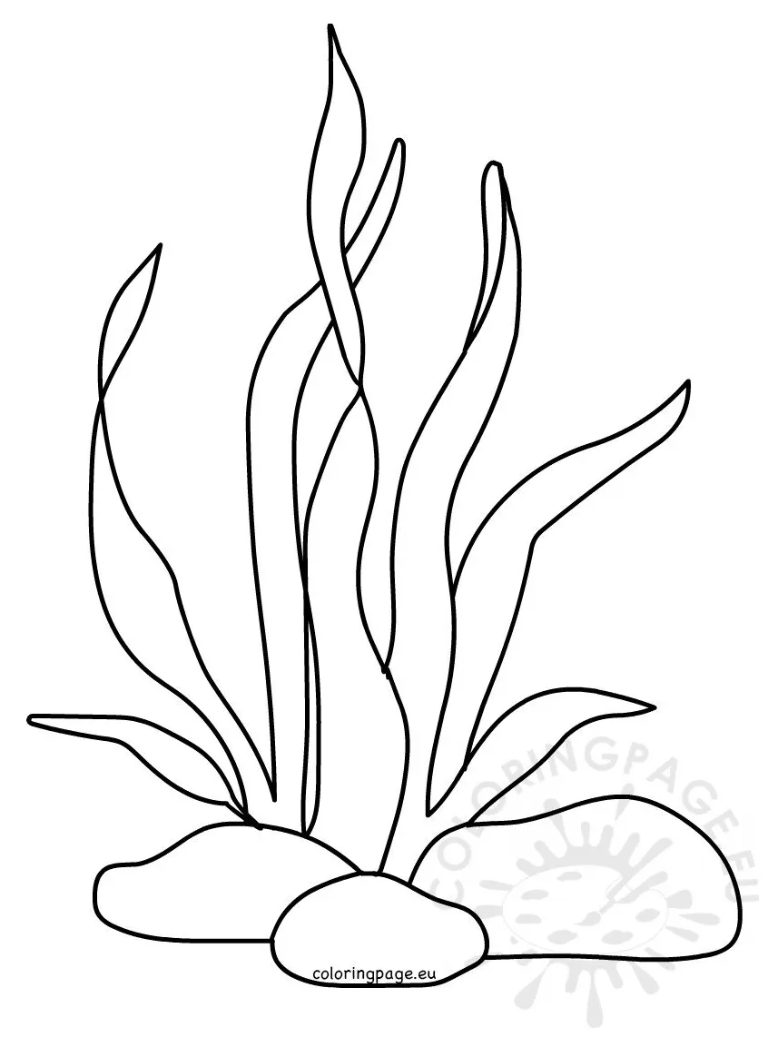 Ocean coloring page printable