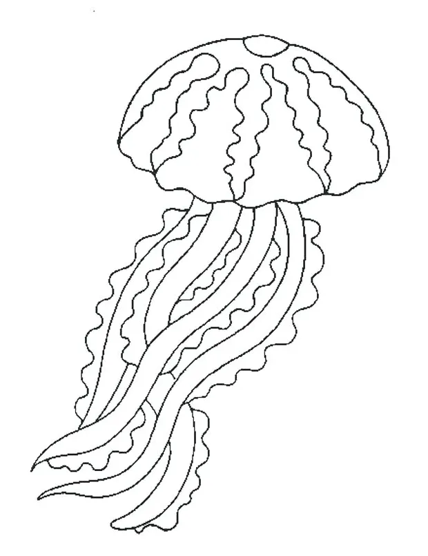 S at getcolorings free printable colorings printable coloring page