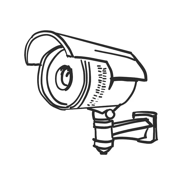 S vectors & illustrations for free