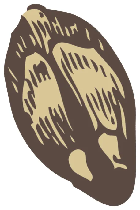 Types of seed dispersal learn seed saving