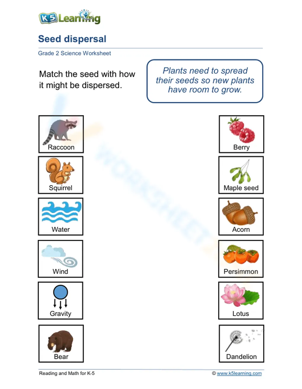 How Seeds Get Spread Worksheet - Worksheets Library