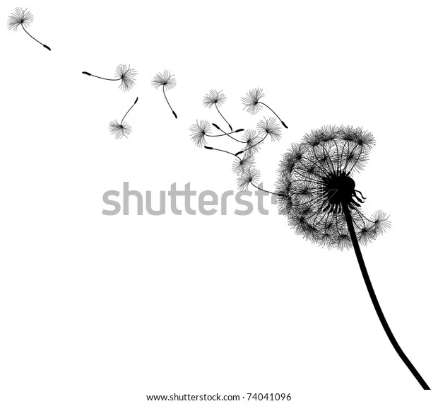 Seed dispersal over 302 royalty-free licensable stock vectors & vector