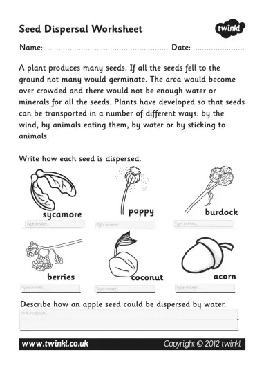 Wk12 t2 s 162 seed dispersal worksheet interactive worksheet edform