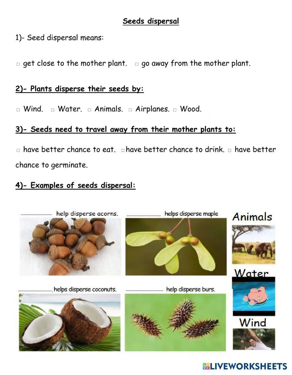 Seeds dispersal interactive worksheet live worksheets worksheets