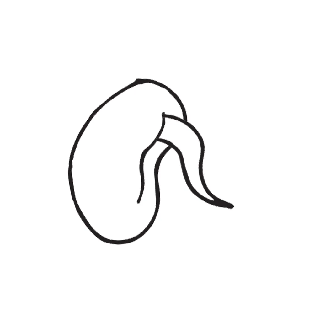 Seed coloring page printable