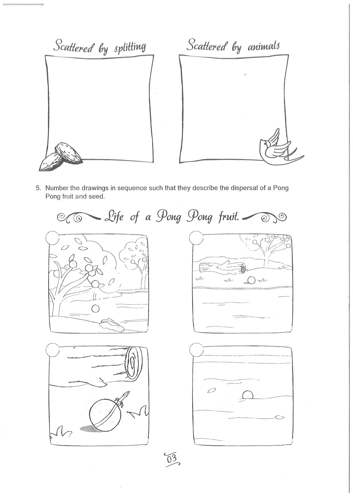 Welcome to projectblogo seed dispersal