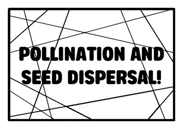 Pollination and seed dispersal! grade 3 science coloring pages school