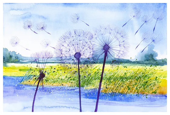 "seed dispersal" s browse 673 s, vectors, and video