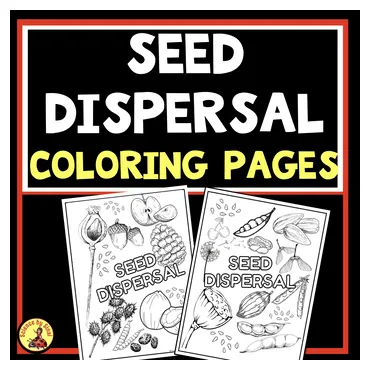 Seed dispersal types coloring pages-discussion starters by science by sinai