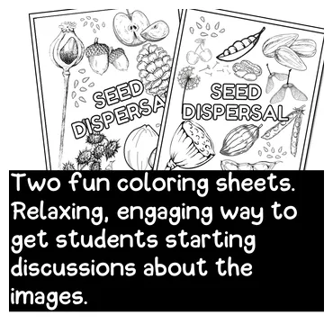 SEED DISPERSAL TYPES COLORING PAGES-Discussion Starters by Science by Sinai
