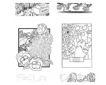 Vegetable seed packet coloring coloring pages