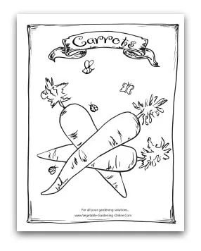 Vegetable seed packet coloring coloring pages