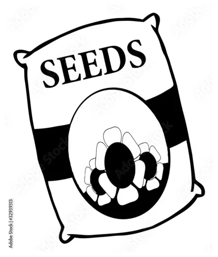 Vegetable seed packet coloring coloring pages