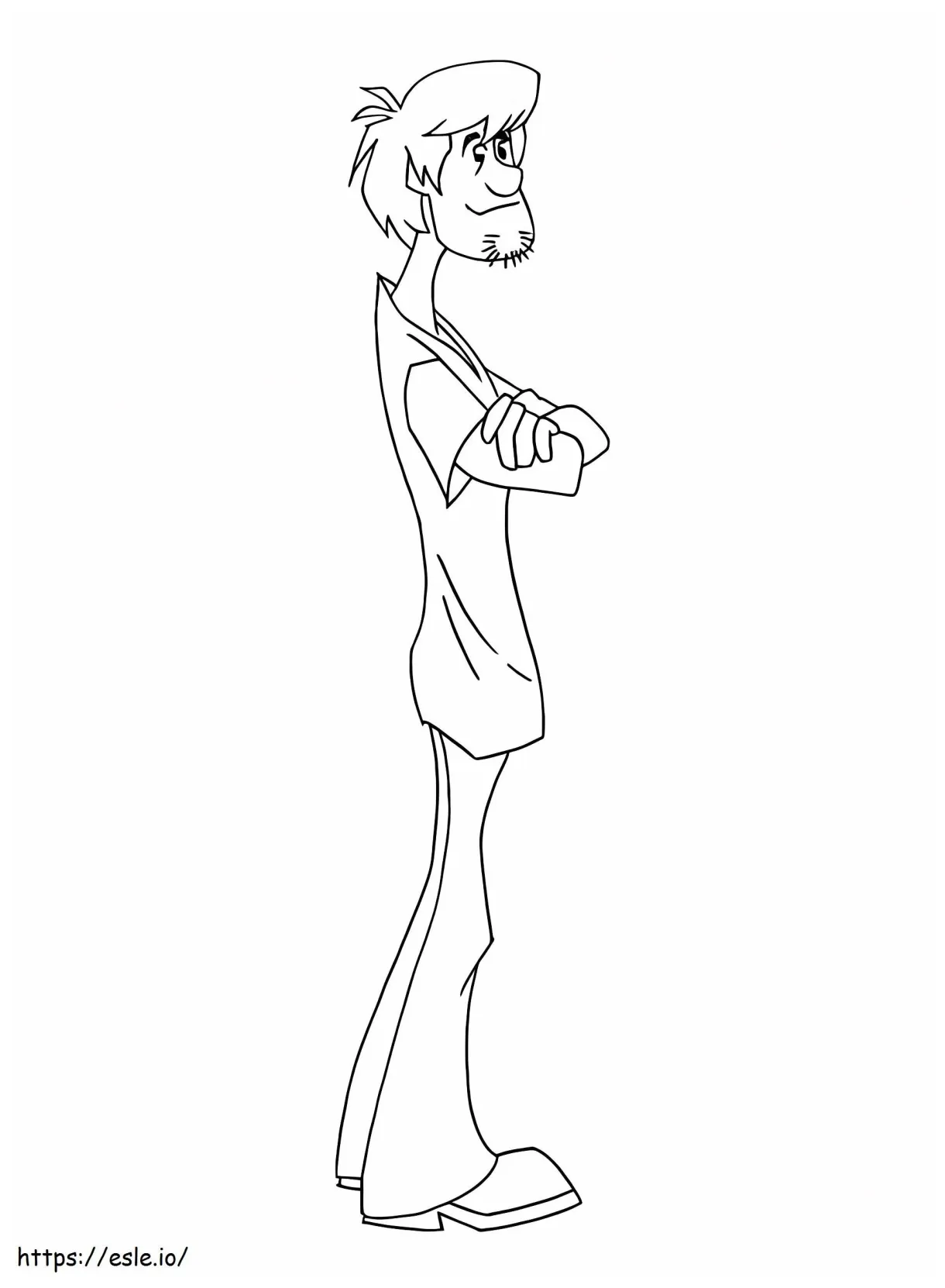 Shaggy 1 coloring page