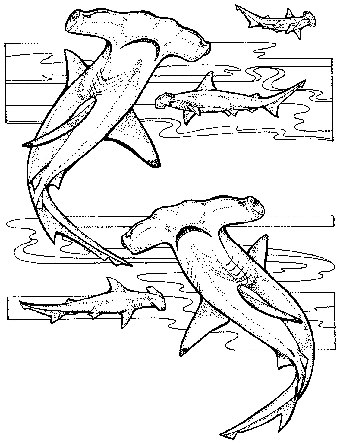 Free s printable coloring page