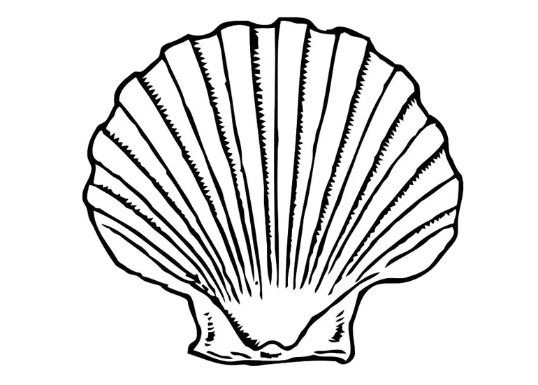 Coloring page shell free printables img 19619