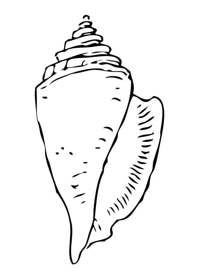 Coloring page shell free printables img 17375