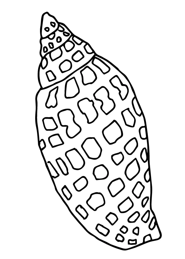 Shell coloring pages & books 100% free and printable!