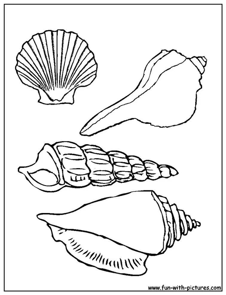 S to download and print for free