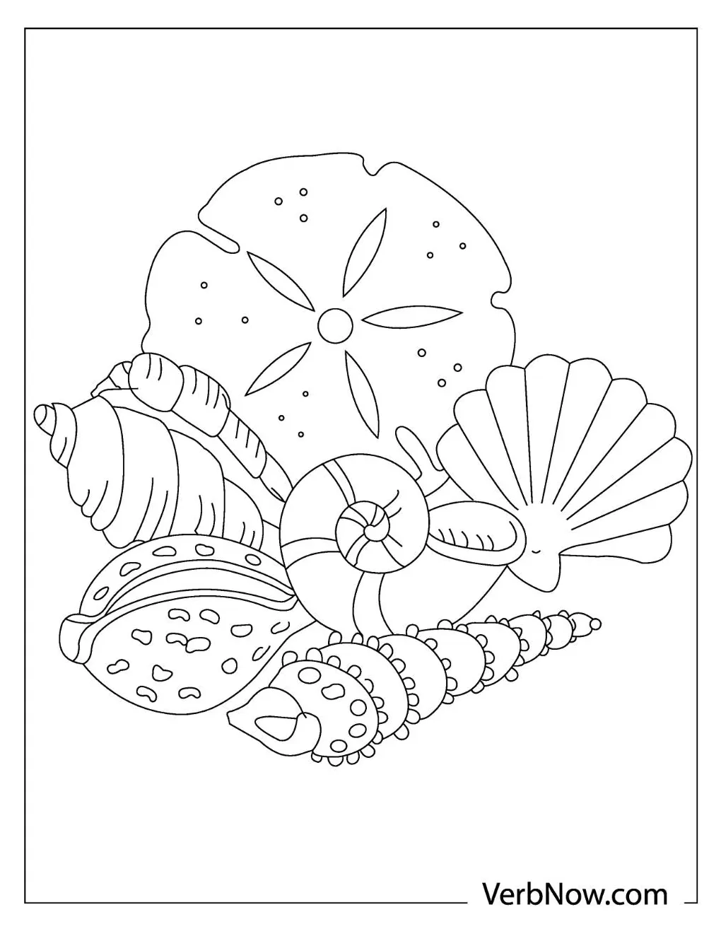 Collection of Shell Coloring Pages - Free Printable