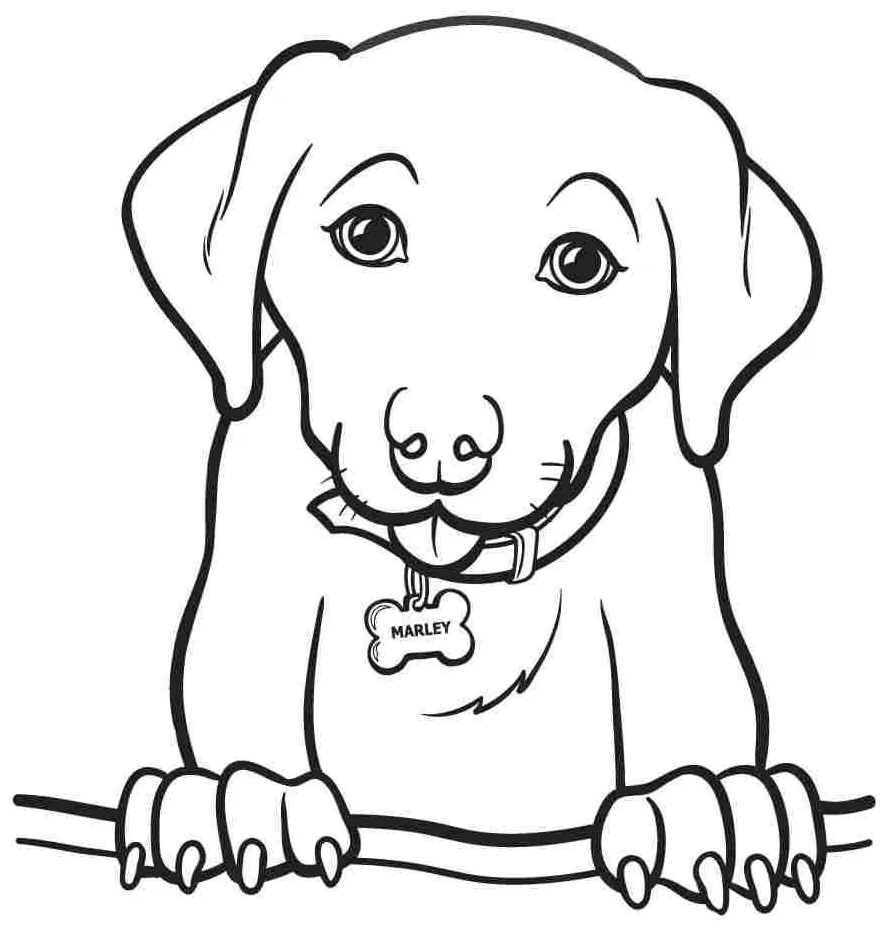 Easy Animal Coloring Pages For Kids - Coloring Home