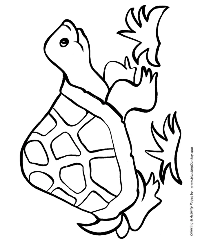 Free s printable coloring page