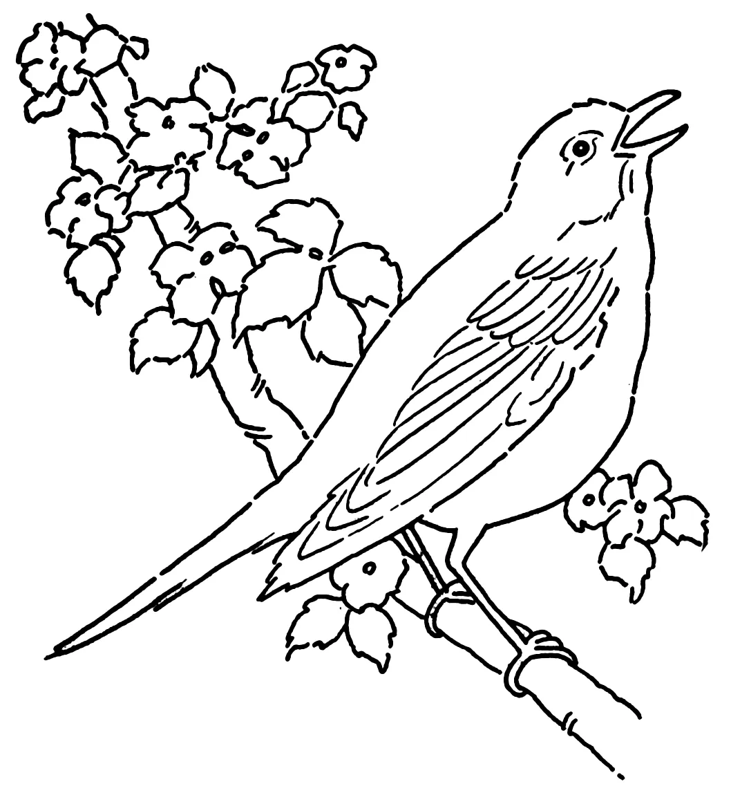 Printable coloring pages. free