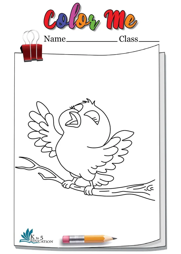 Bird coloring pages