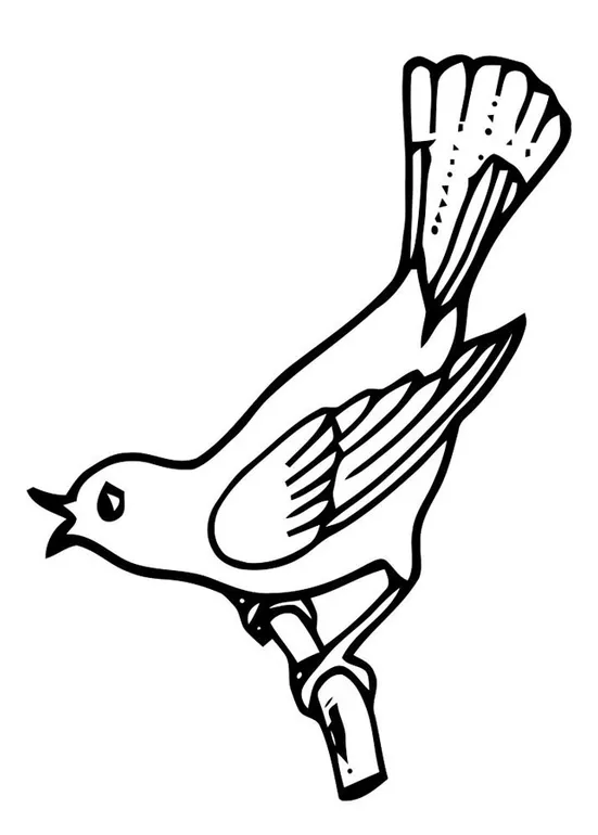 Coloring page singing bird free printables img 19461
