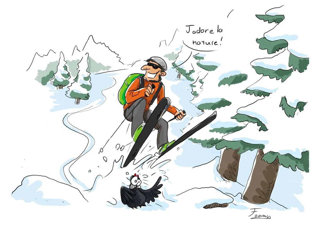 Humour Dessin Ski | Humourve