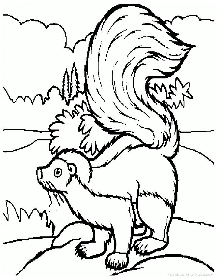 Skunk coloring pages part 4
