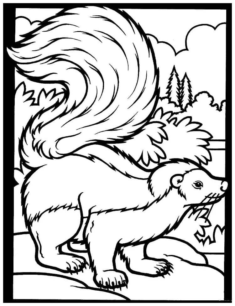 Free striped skunk coloring pages coloring cool