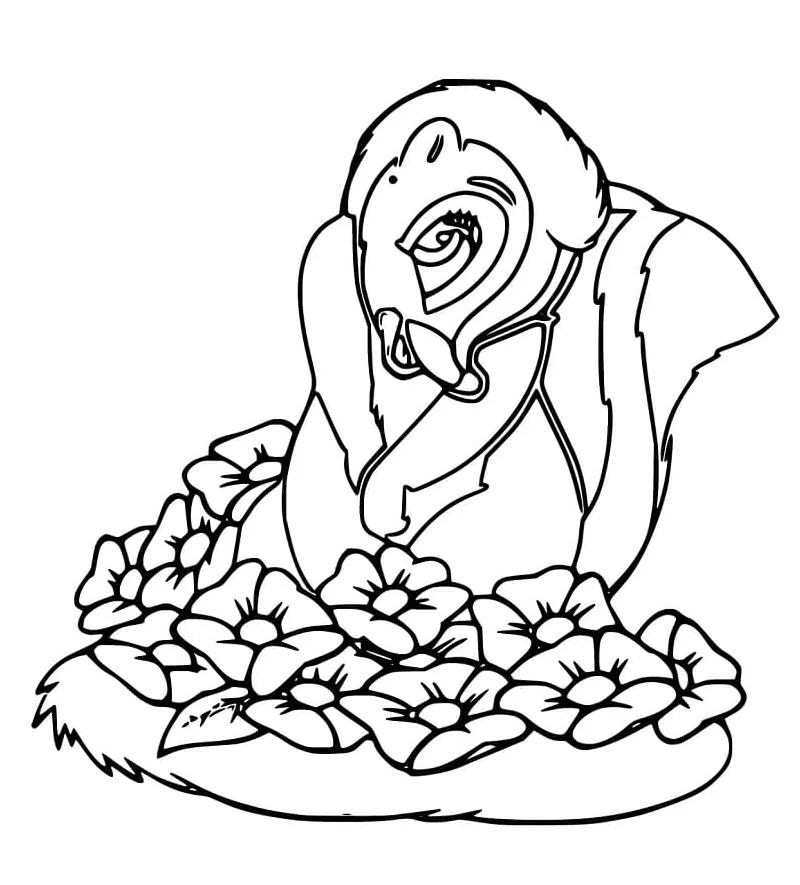 Skunk coloring page