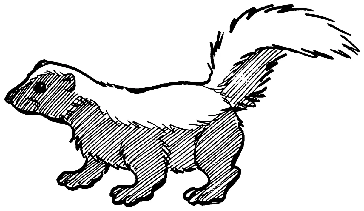 Free skunk coloring pages