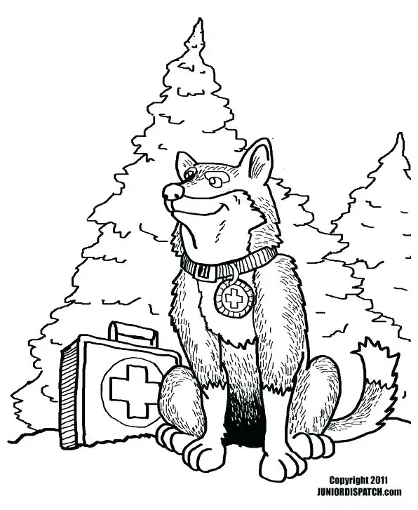 Dog sled coloring pages at getcolorings free printable colorings