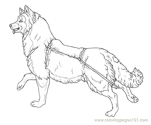 Sled coloring page at getcolorings free printable colorings pages printable coloring page